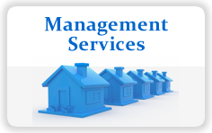 Management Services